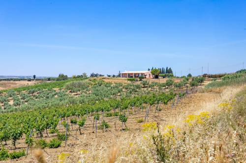 Stunning villa immersed in the countryside and overlooking the sea 42748